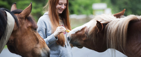 15-16-DICEMBRE Corso Base di Comunicazione Telepatica con gli Animali