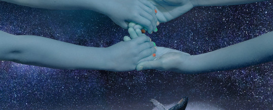 Perdono e Gratitudine: le frequenze della pace interiore