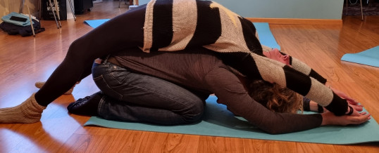 ESERCIZI DI BIOENERGETICA UMANISTICA