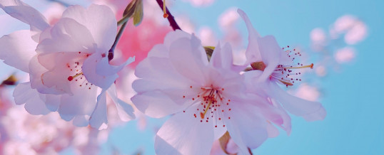 CHI SONO IO? DALLA PERSONALITA’ ALL’ANIMA Ritiro Primaverile